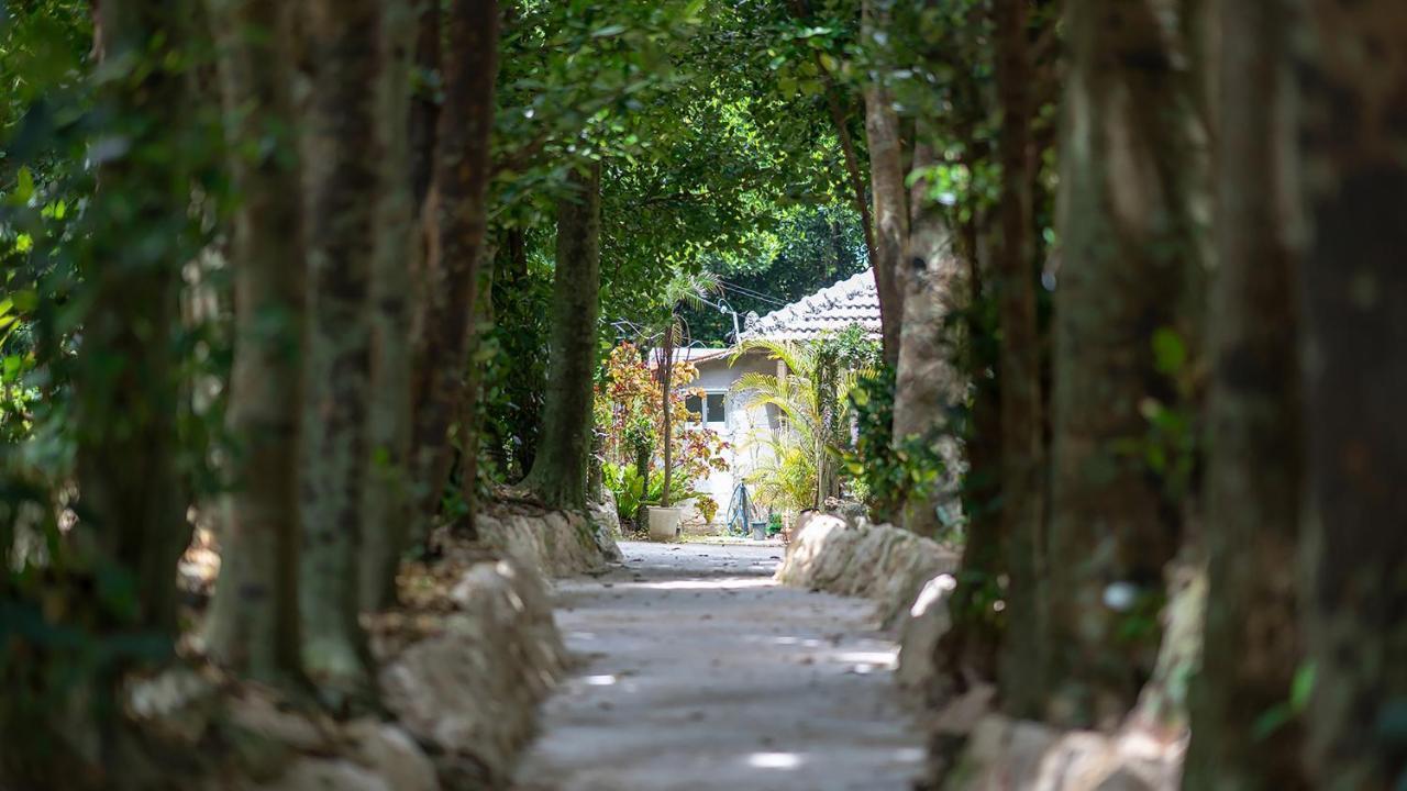 La Ohana～瀬底島～（2022年open） Okinawa Extérieur photo